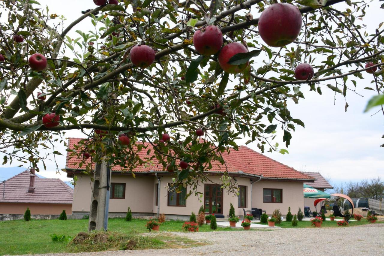 Casa Alin Hotel Hateg Exterior photo