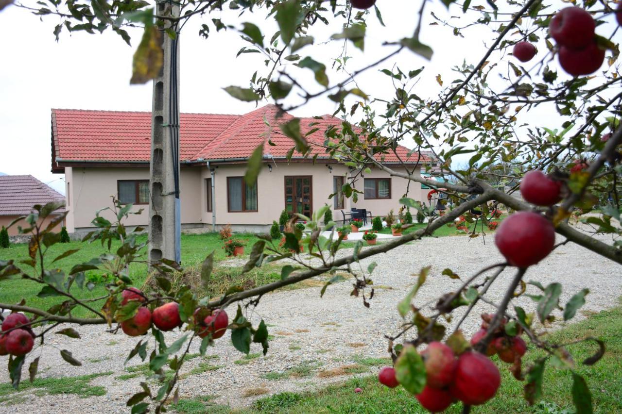 Casa Alin Hotel Hateg Exterior photo